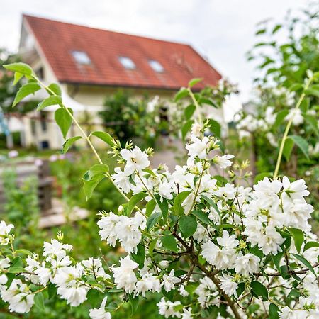 Beutenmuehle Straussenfarm Dach Owingen Экстерьер фото