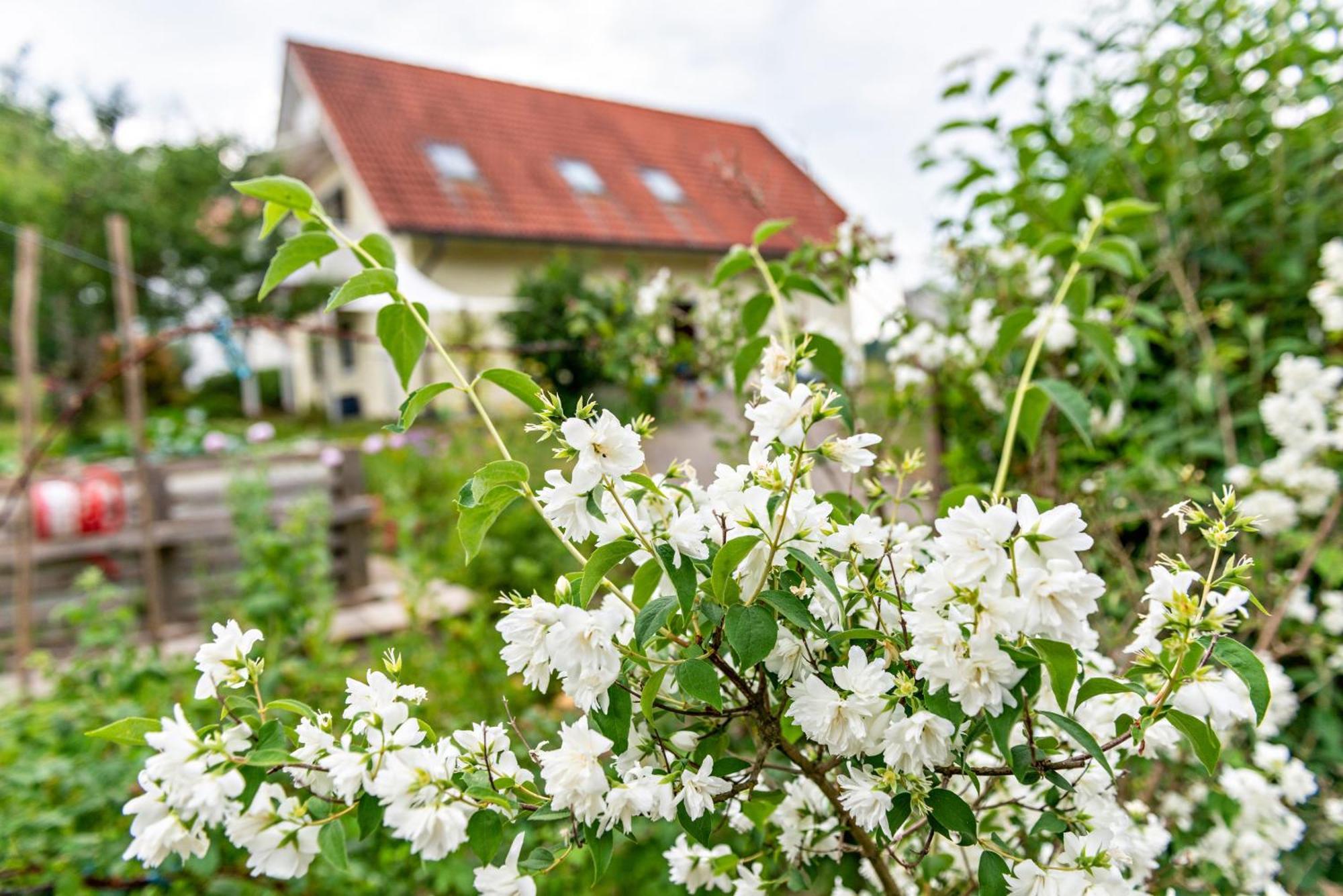 Beutenmuehle Straussenfarm Dach Owingen Экстерьер фото