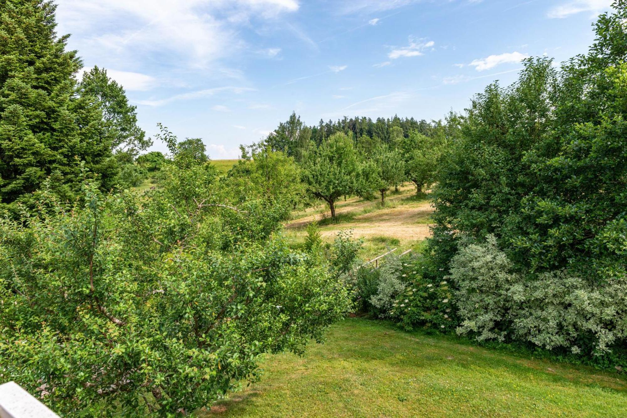 Beutenmuehle Straussenfarm Dach Owingen Экстерьер фото